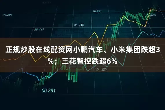 正规炒股在线配资网小鹏汽车、小米集团跌超3%；三花智控跌超6%