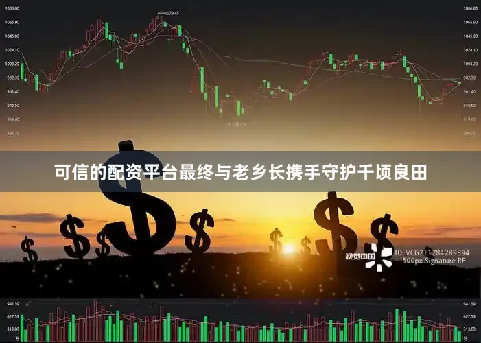 可信的配资平台最终与老乡长携手守护千顷良田